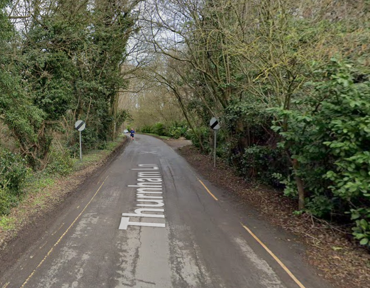 Dog walkers killed after being hit by car in Maidstone The Independent